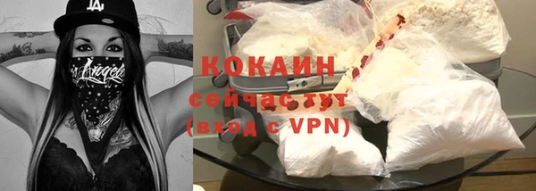 гашик Горняк