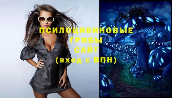 гашик Горняк