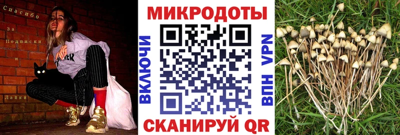 цены наркотик  Торжок  Галлюциногенные грибы GOLDEN TEACHER 