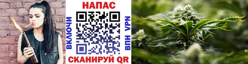 даркнет телеграм Торжок Каннабис ГИДРОПОН